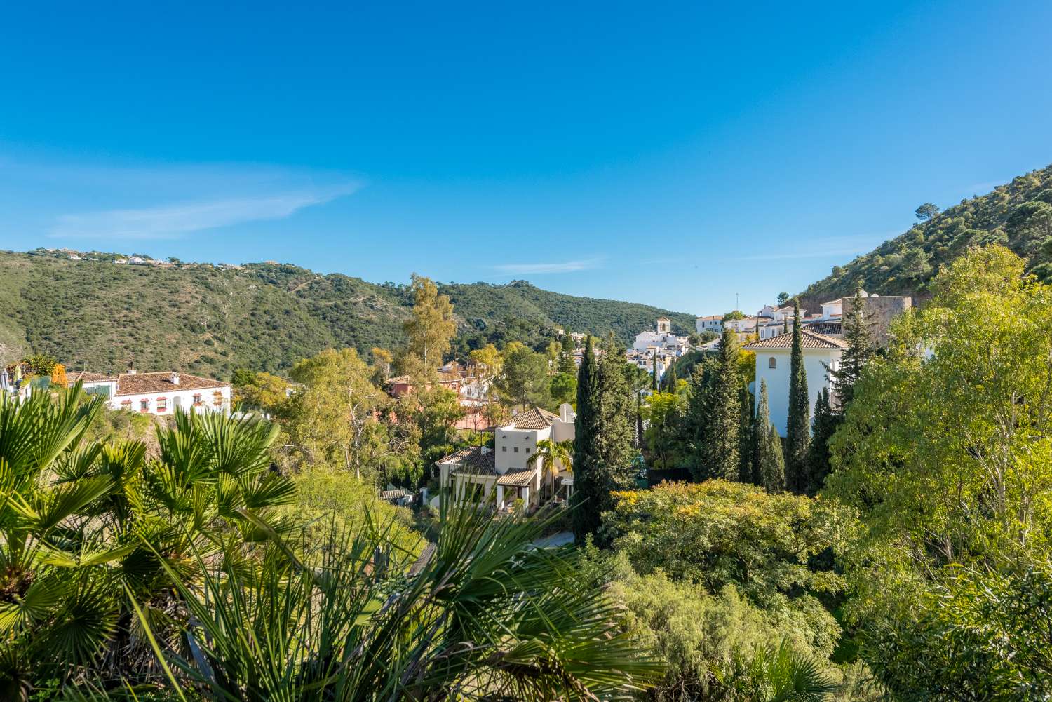 HERMOSA FINCA EN VENTA EN BENAHAVÍS